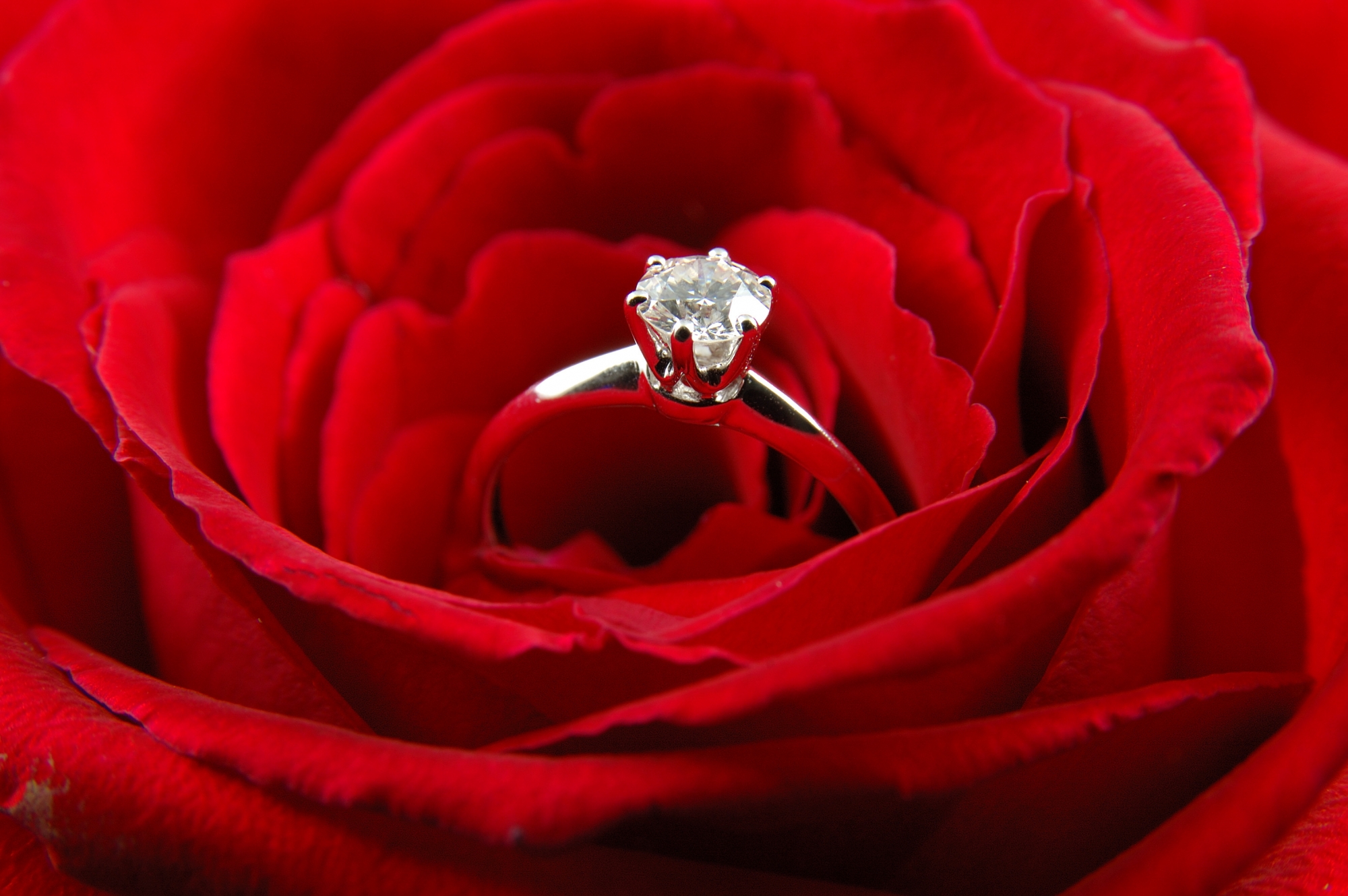Кольцо с бриллиантом в букете цветов